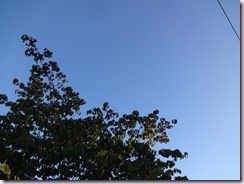 DSC03154