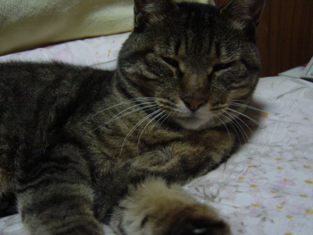 071006-1.jpg