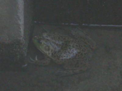 080704-2.jpg