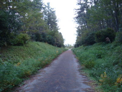 081012-1.jpg