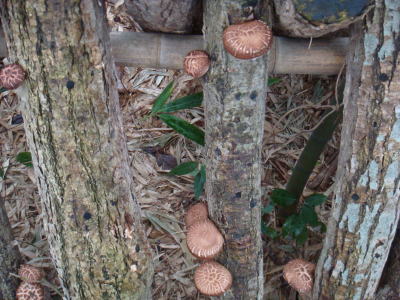 090322-1.jpg