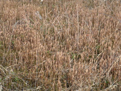 090406-1.jpg