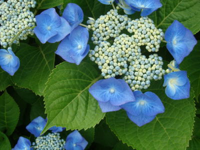 090628-1.jpg