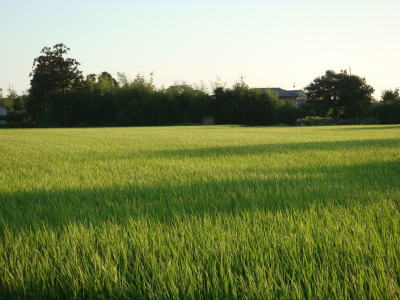 090814-2.jpg