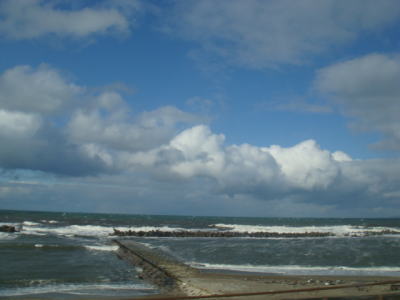 09102-1.jpg