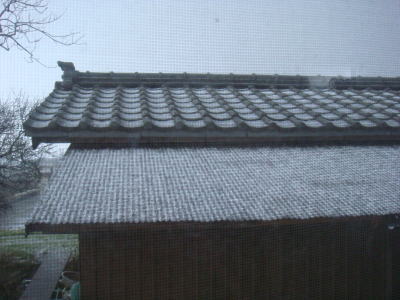 100106_1.jpg