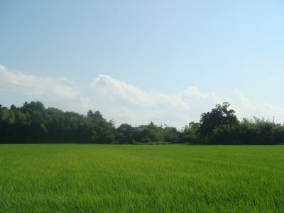 100724_1.jpg