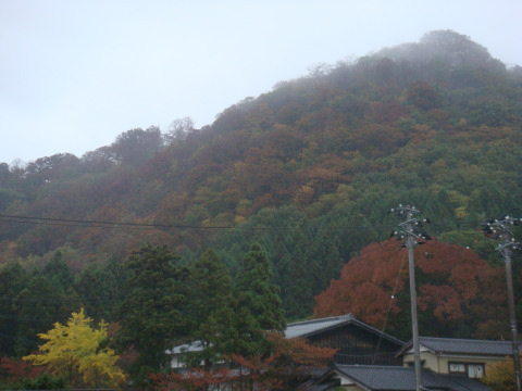 20111106_1.jpg