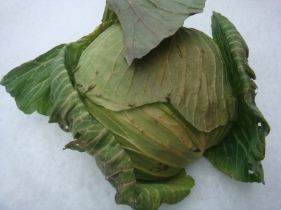 20120227_1.jpg