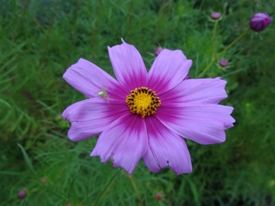 DSC01247