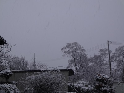 DSC02347