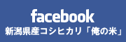 ̕ facebook