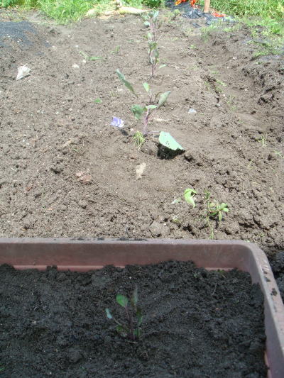 090728-5.jpg