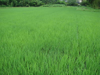 080708-6.jpg