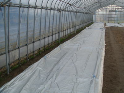 090404-2.jpg