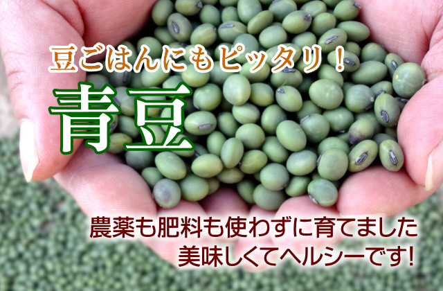 青大豆