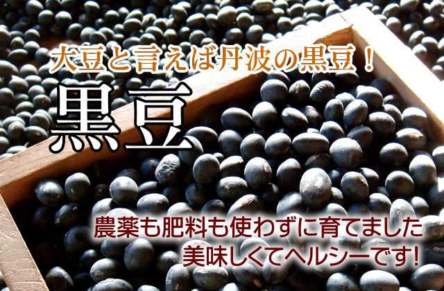 丹波の黒豆