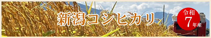 令和7年産 新潟コシヒカリ