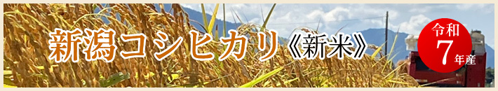 令和7年産  新米　新潟コシヒカリ