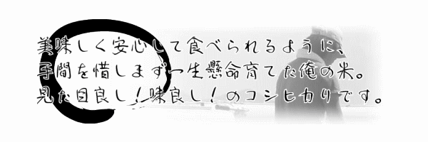 見た目良し！味良し！のコシヒカリです