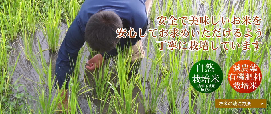 自然栽培米＋減農薬・有機肥料栽培