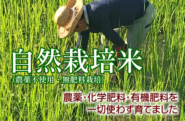 自然栽培米（農薬不使用・無肥料栽培）