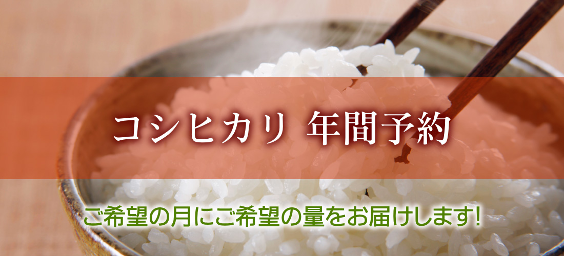 コシヒカリ 年間予約